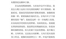 狗的自述作文400字