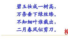 古诗苑漫步作文