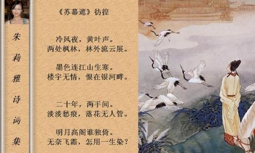 苏木哲