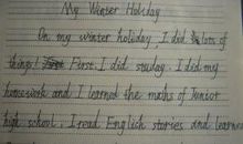 追梦的日子作文