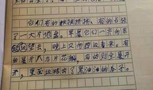 古诗中的春夏秋冬作文