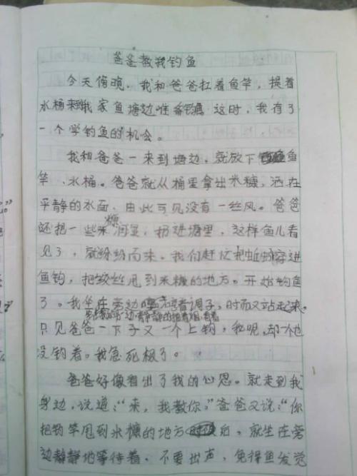 美丽的童年组成