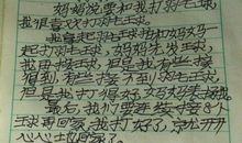 《兔子坡》读后感