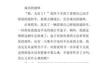 成功的滋味作文400字