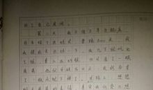 写人记事的作文600字