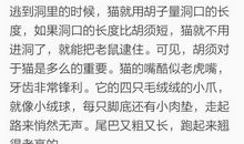 人与人之间的距离作文