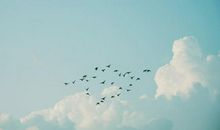 地球是平的读后感