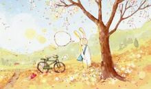 那儿充满了感动