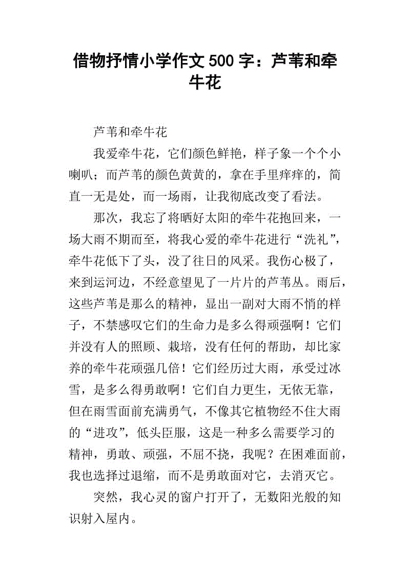 300字作文