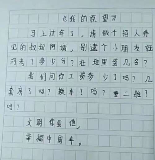 我的愿望之一