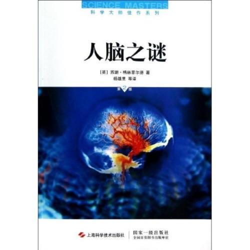 人脑的奥秘