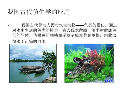 动物仿生成分