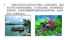 动物仿生学作文