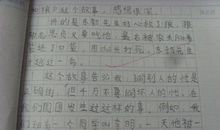 初中作文读后感300字