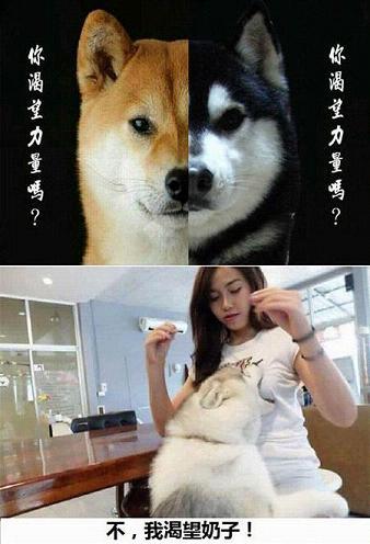 我渴望进步