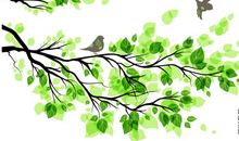 描写春天的田野作文