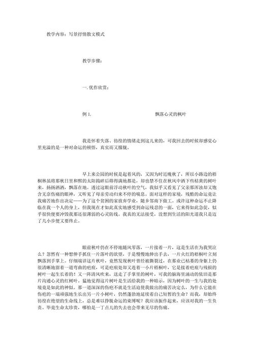 800字作文