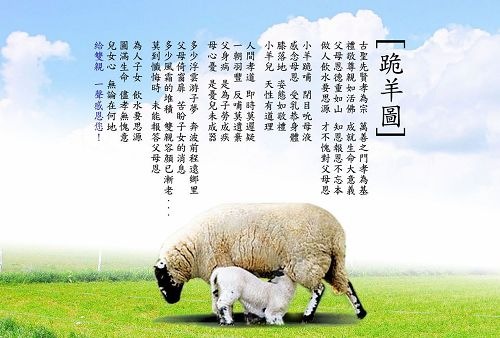 跪着的羊图片