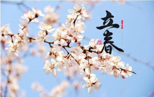 丽春电影评论