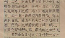 读后感100字作文