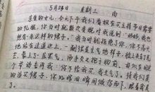 悦悦被撞读后感