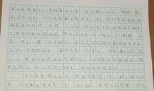 描写班长的作文