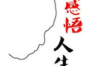 今年最新的经典语录