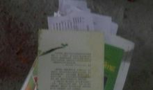 生命从明天开始读后感