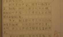 这个冬天作文600字