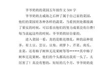 描写菜园的作文