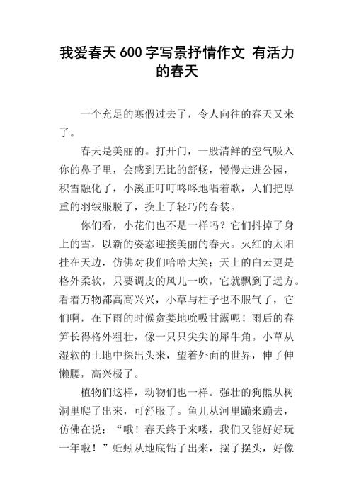 600字作文
