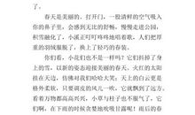 借物抒情的作文600字