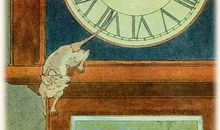 描写白鹅的作文