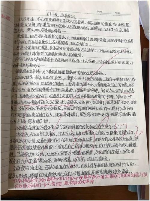 阅读法律后