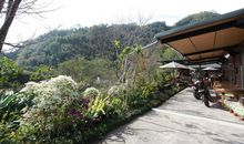 描写阿里山的作文