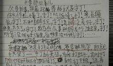 我的同桌作文250字