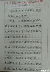 二级动物的组成