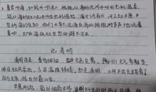 二年级清明节的作文