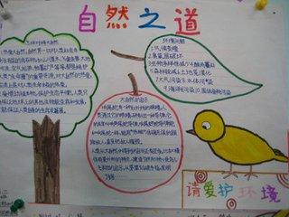 大自然中的启示