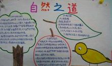 大自然中的启示