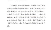 《荒野的呼唤》读后感