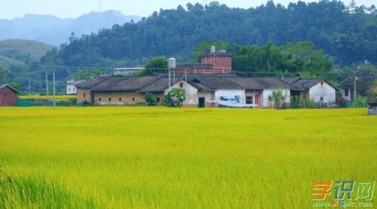 农村景观组成