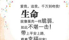 经典语录：生命不止是劳苦，生命还有诗意和远方。