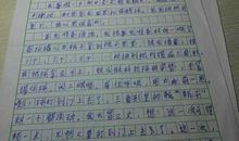 家中趣事作文400字