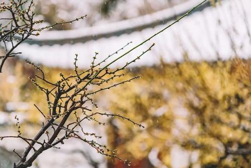 经典语录：您只能看到风雨中的真实感受；你可以看到平凡中的真心