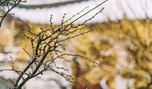 经典语录：风雨时，才能见真情；平淡中，才能见真心