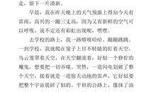 二年级作文雷雨