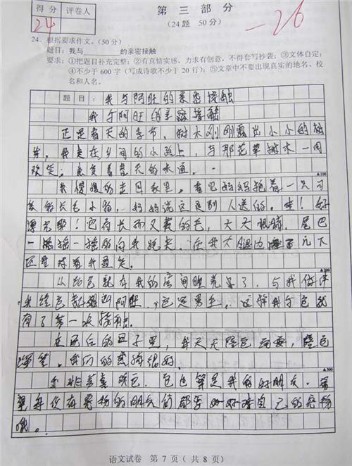 景观组成