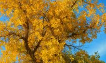 铭刻心底的一件事