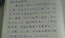 校园的风景作文